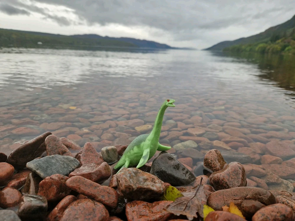 GIF nahrál ⭕⭕ Andrea