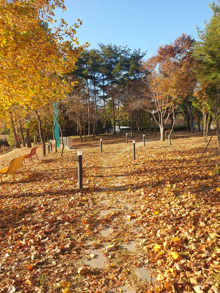 Image uploaded by Hanan