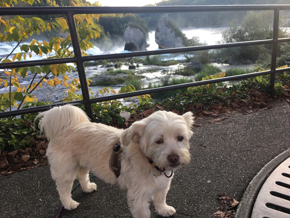 Bild hochgeladen von Helen