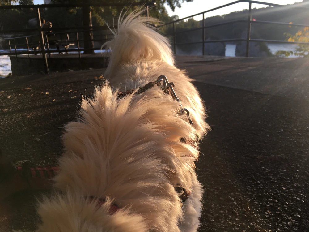 Bild hochgeladen von Helen