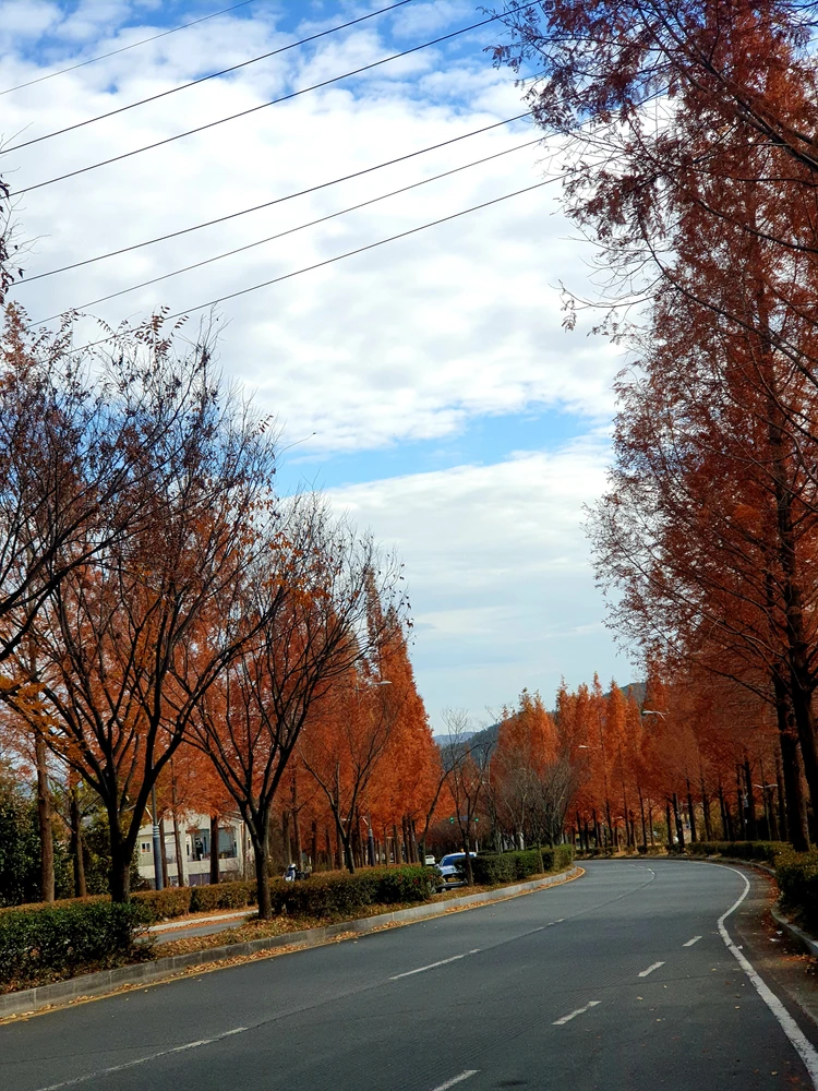 Image uploaded by Hanan