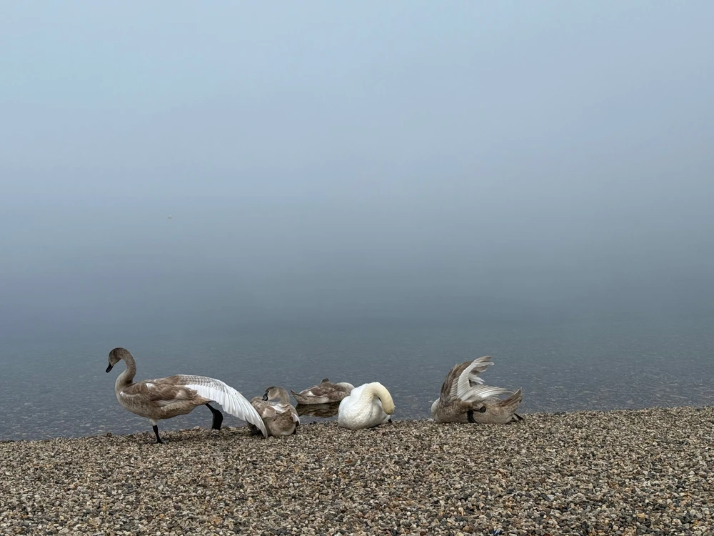 Obrázek nahrál Martin