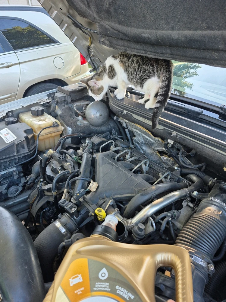 GIF dodany przez Konrad