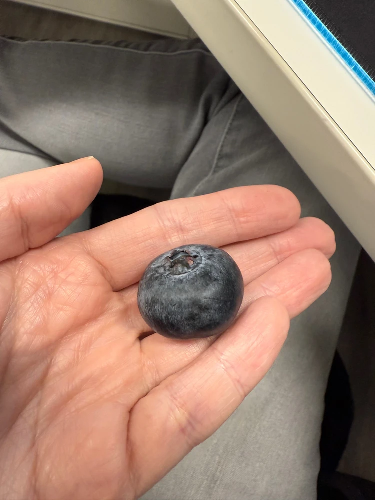 由Breeanna上传的图片