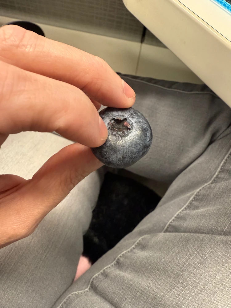 由Breeanna上传的图片