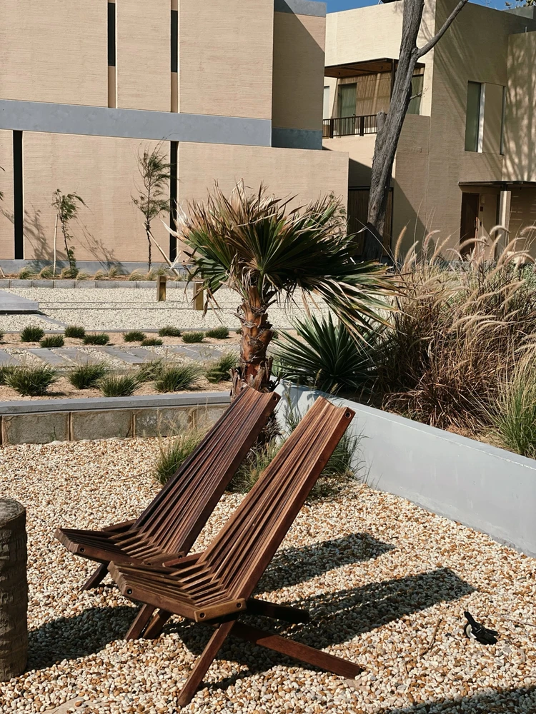 Image uploaded by Jo