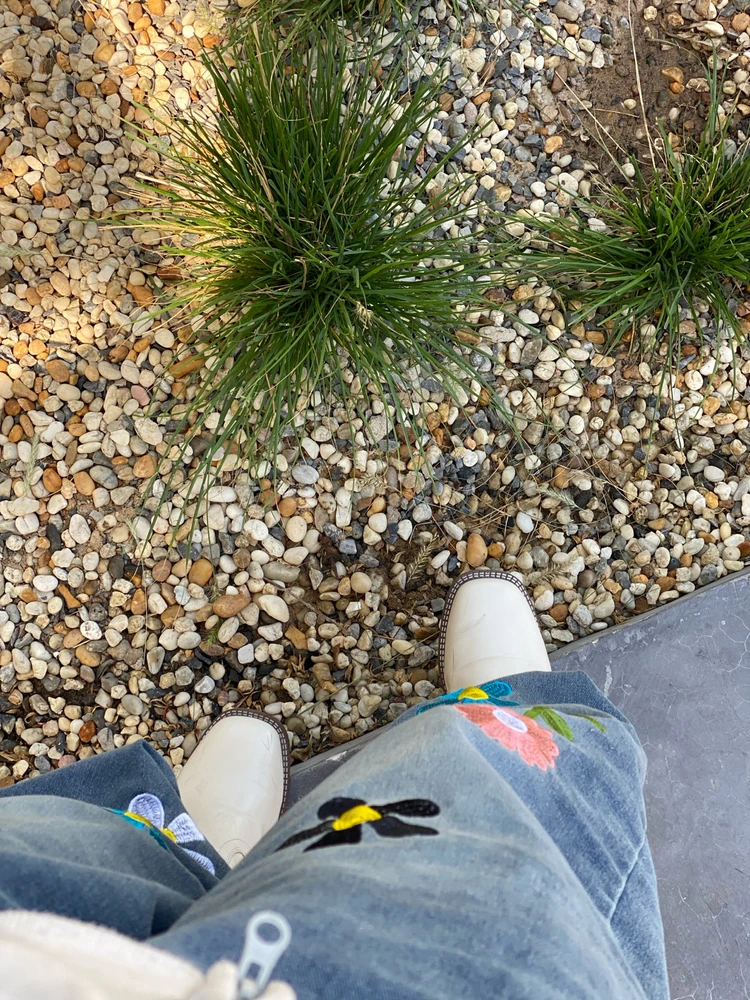 Image uploaded by Jo