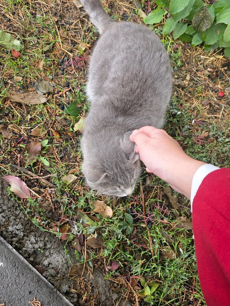Image uploaded by RiriYo