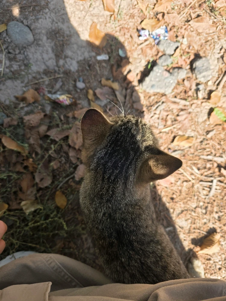 Image uploaded by RiriYo