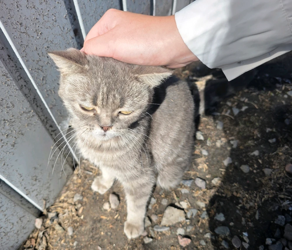 Image uploaded by RiriYo