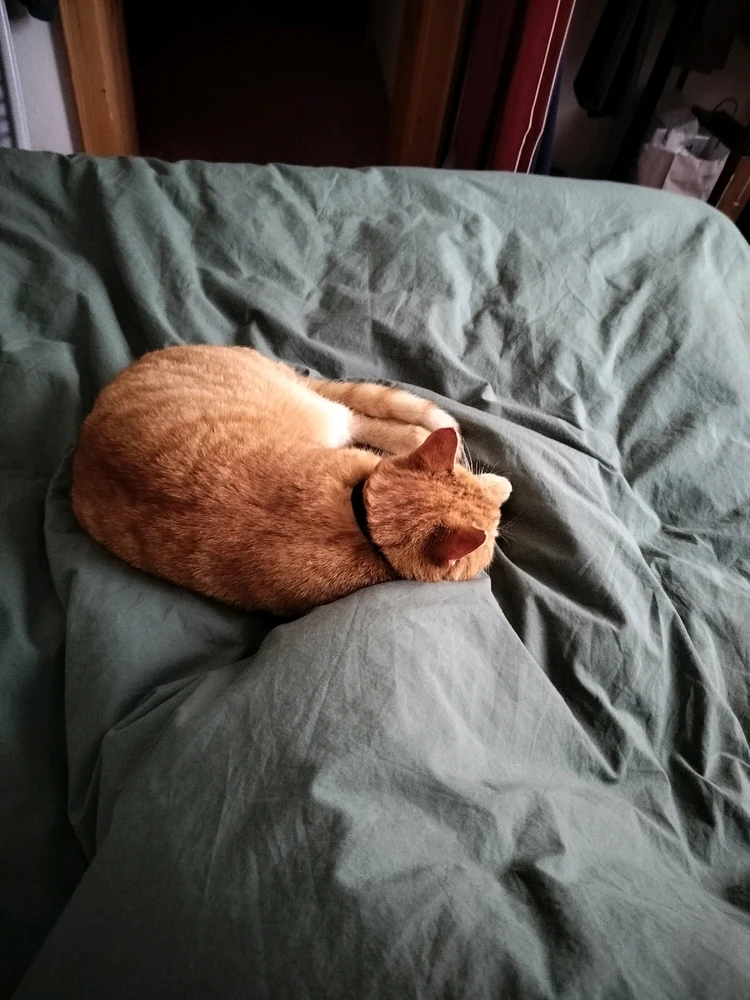 GIF caricata da Trixie