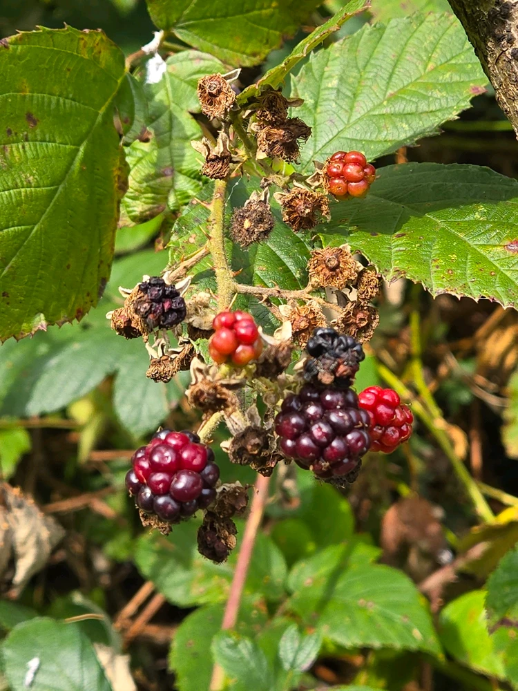 GIF uploaded by Patrik