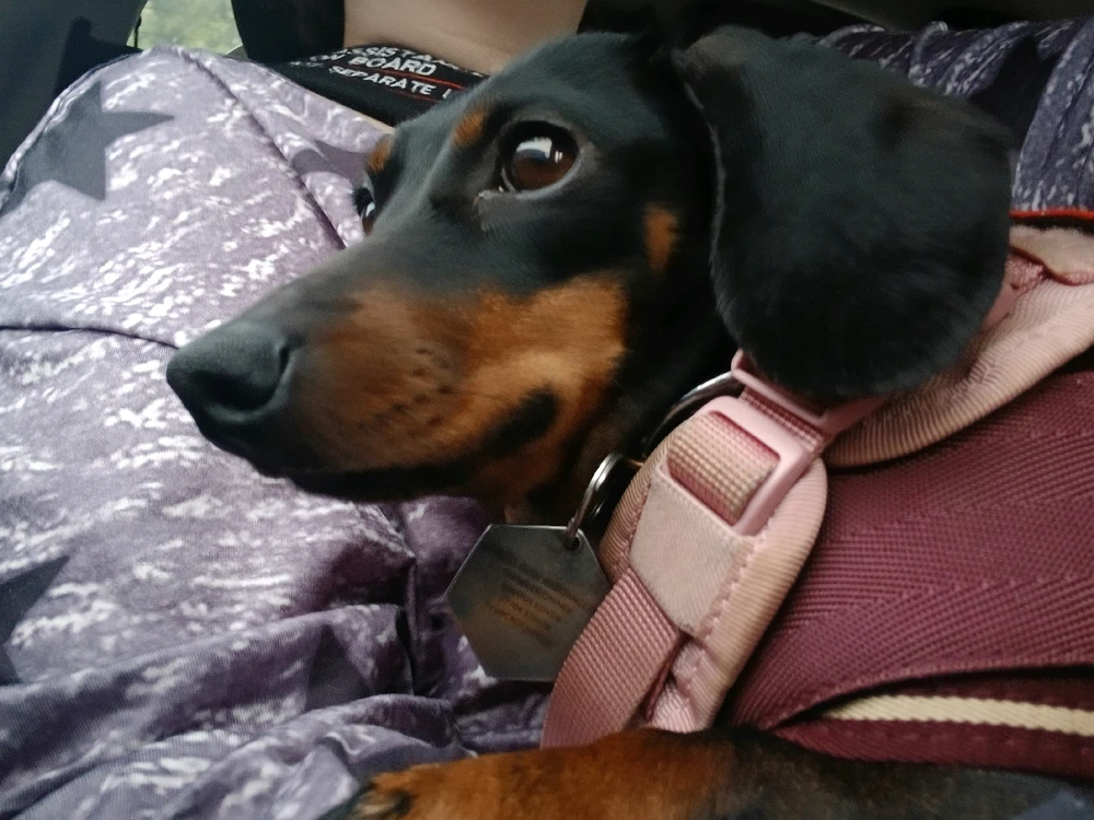 GIF uploaded by Astoria