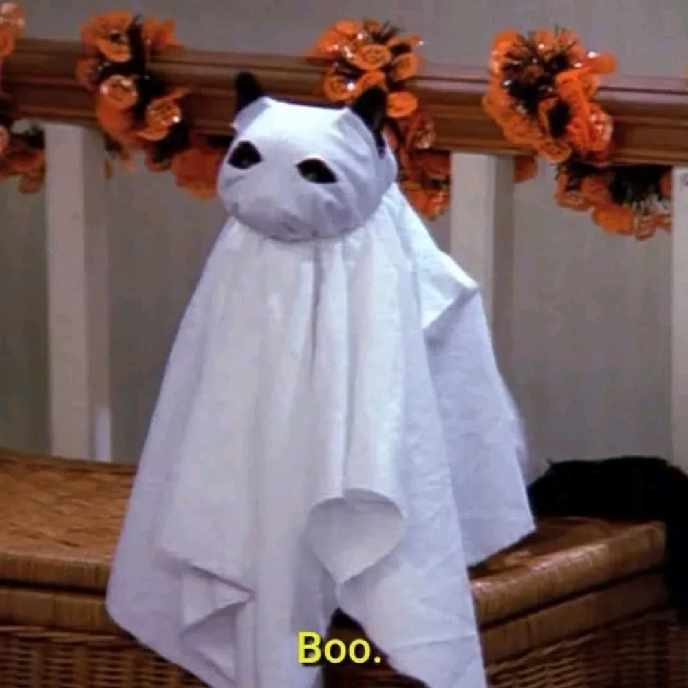 Imagem enviada por Viktor