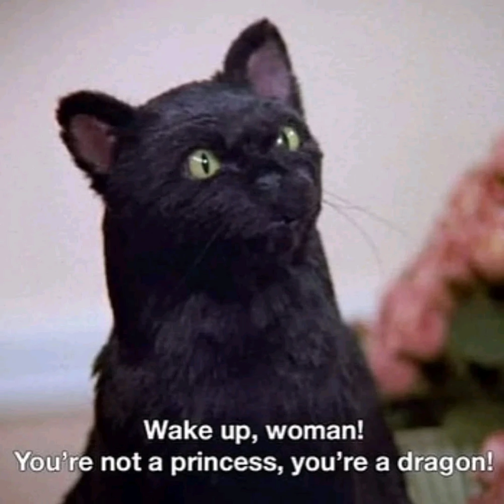 Imagem enviada por Viktor