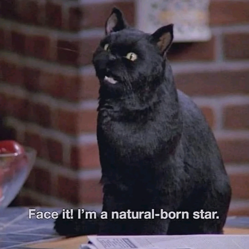 Imagem enviada por Viktor