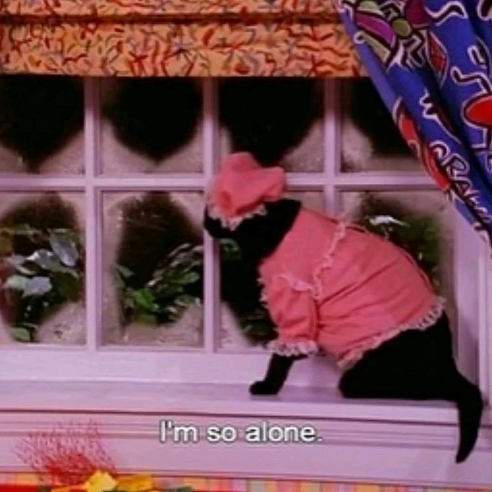 Imagem enviada por Viktor