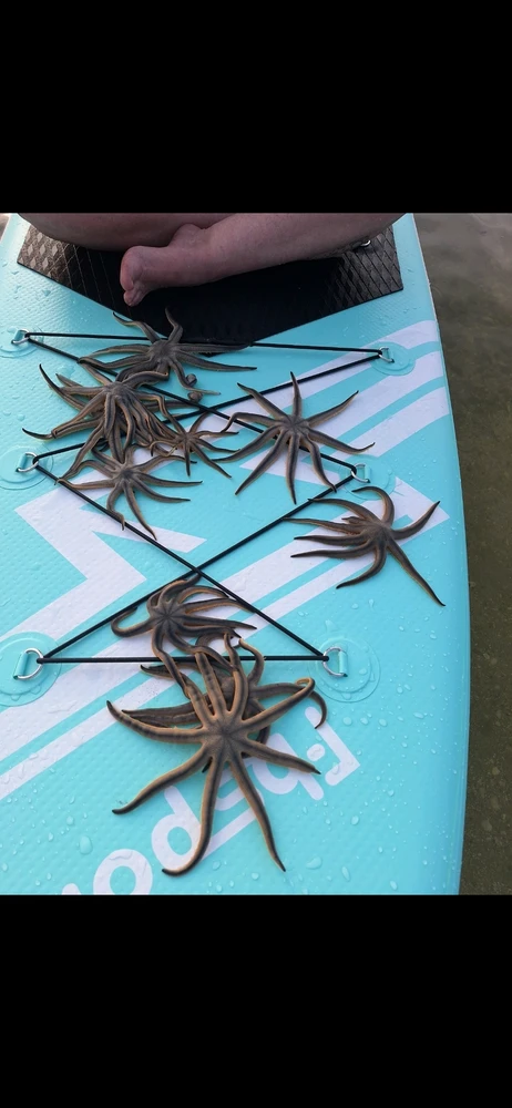 Image uploaded by Gabi