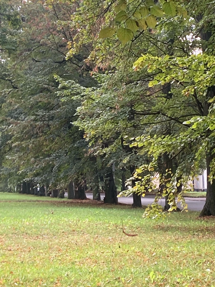 GIF nahrál Noemi 😎