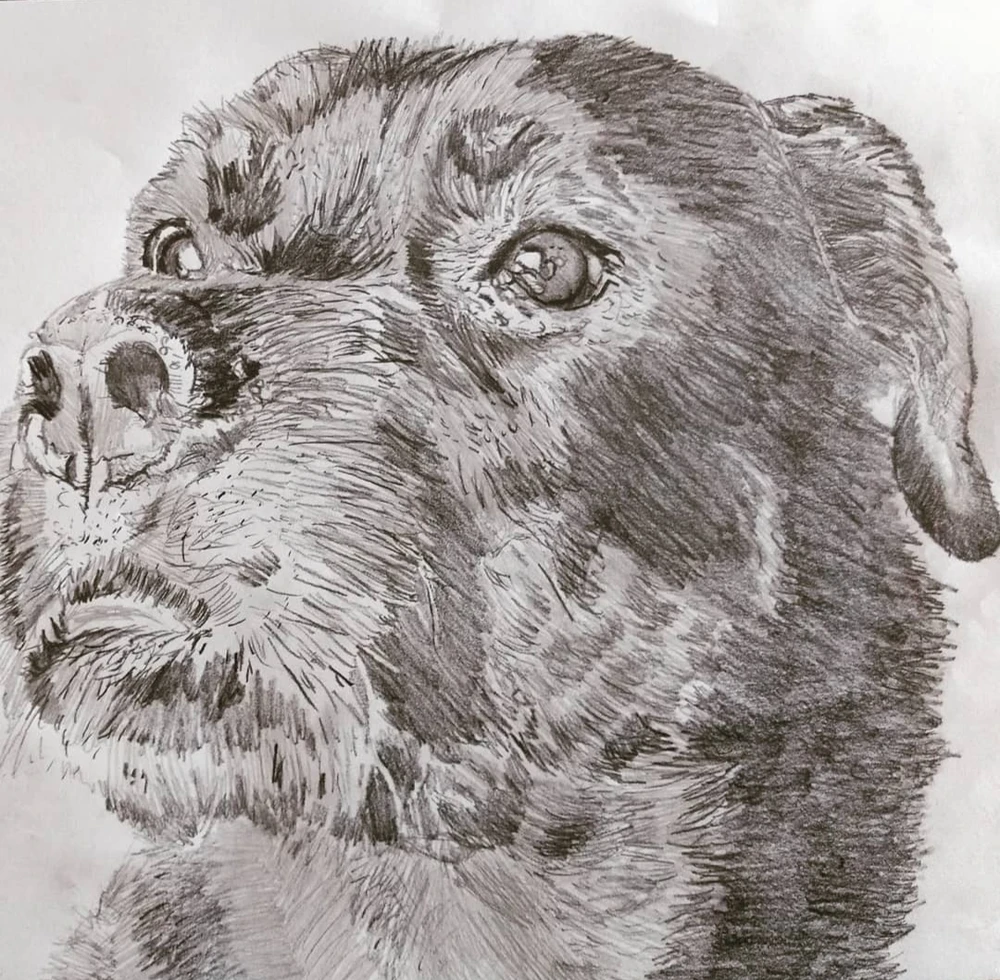 GIF uploaded by Mika