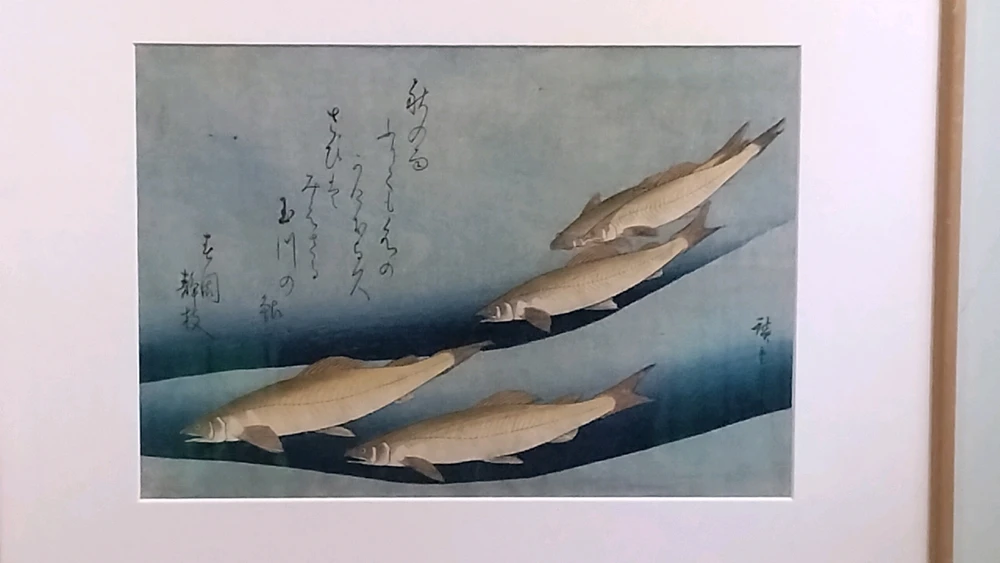 Immagine caricata da Salvatore