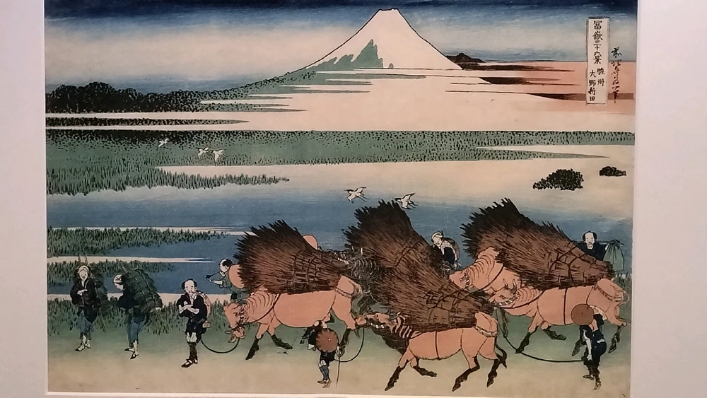 Immagine caricata da Salvatore