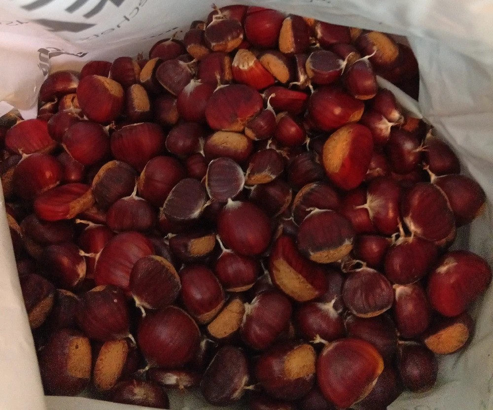 GIF ajouté par Ꭻລԁ𝙚