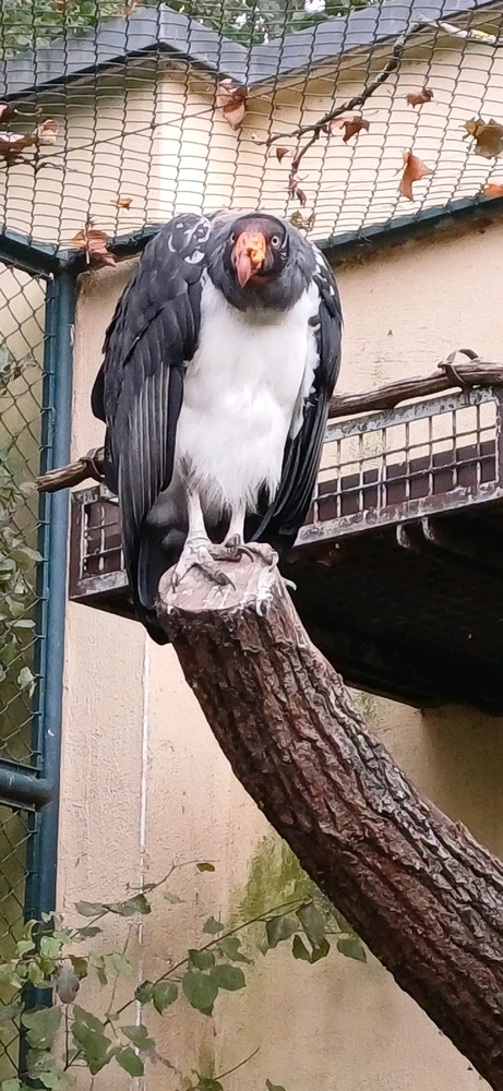 Bild hochgeladen von Rene Ohme