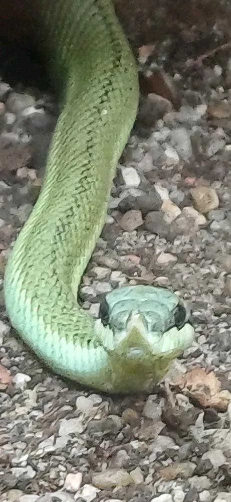 Bild hochgeladen von Rene Ohme