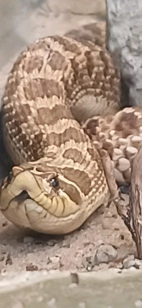 Bild hochgeladen von Rene Ohme