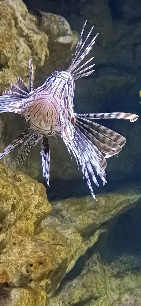 Bild hochgeladen von Rene Ohme