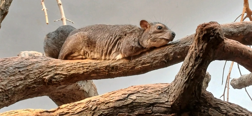 Bild hochgeladen von Rene Ohme