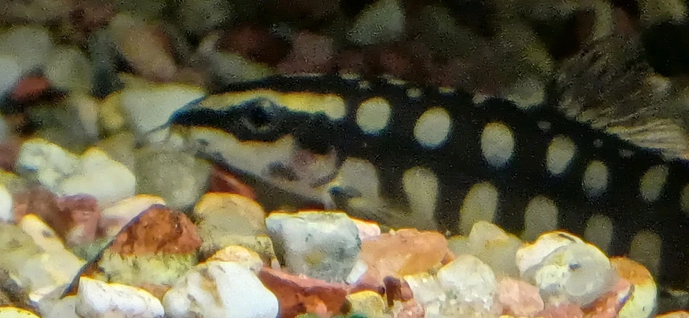 Bild hochgeladen von Rene Ohme