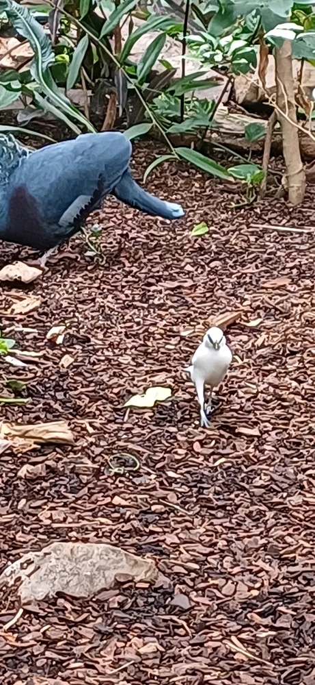 Bild hochgeladen von Rene Ohme