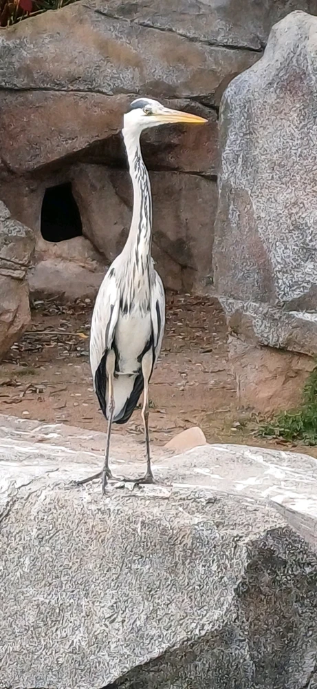 Bild hochgeladen von Rene Ohme