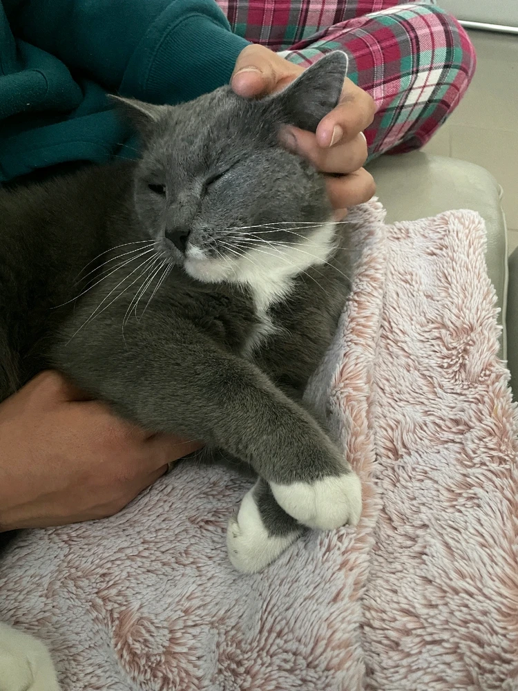 GIF caricata da Matt