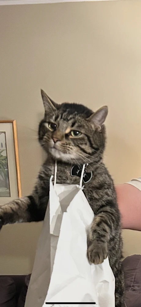 GIF uploaded by Chris