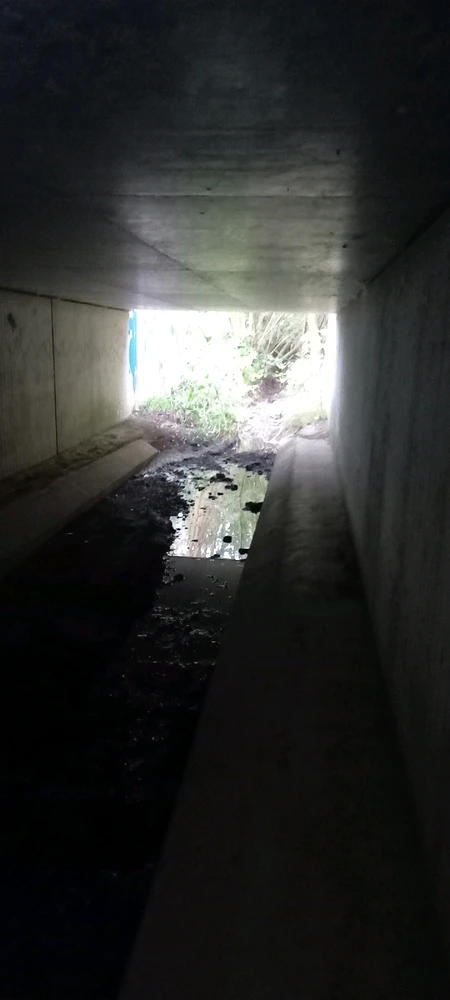 Bild hochgeladen von Basti aka Bierserker