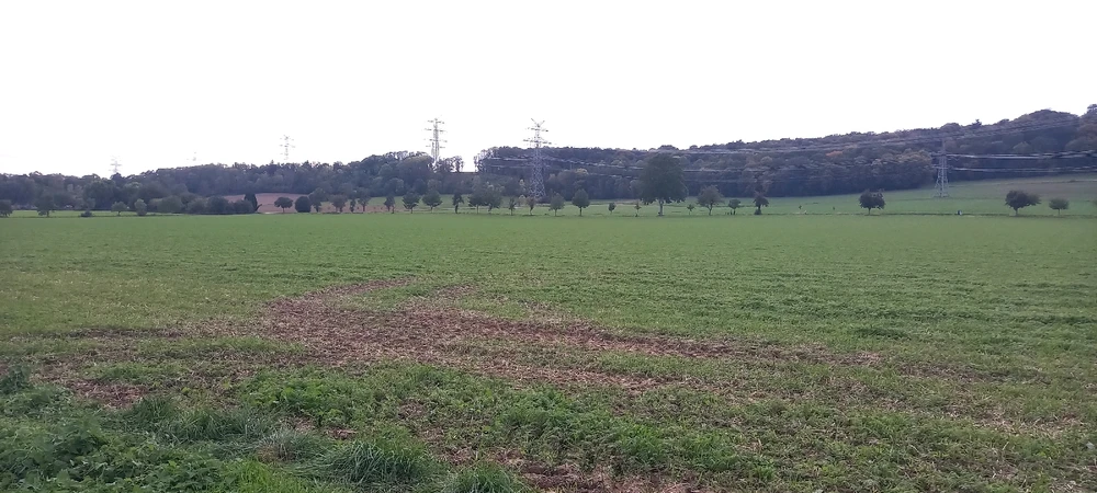 Bild hochgeladen von Basti aka Bierserker