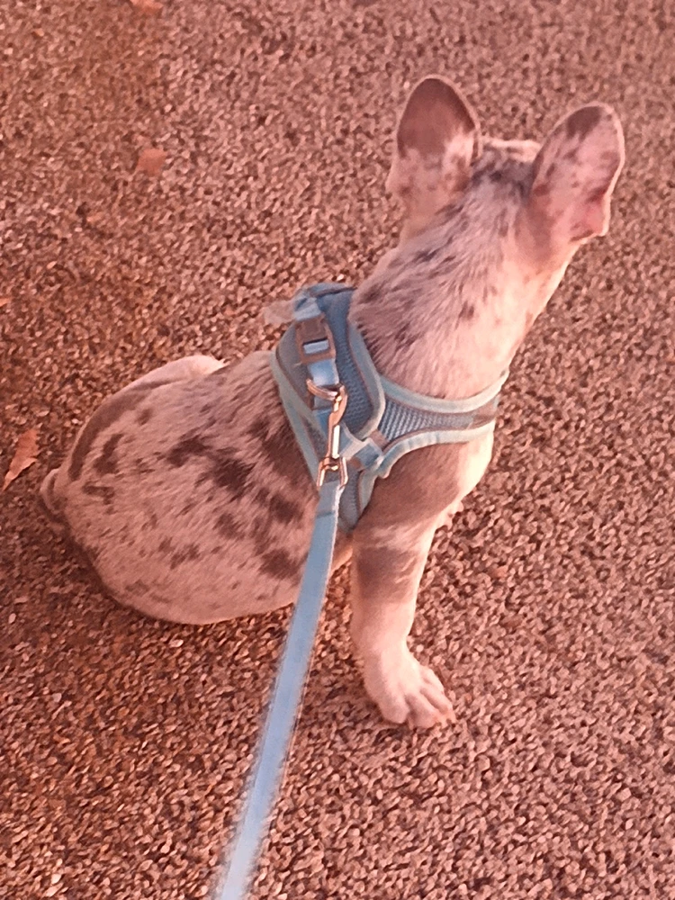 Imagem enviada por Sérgio