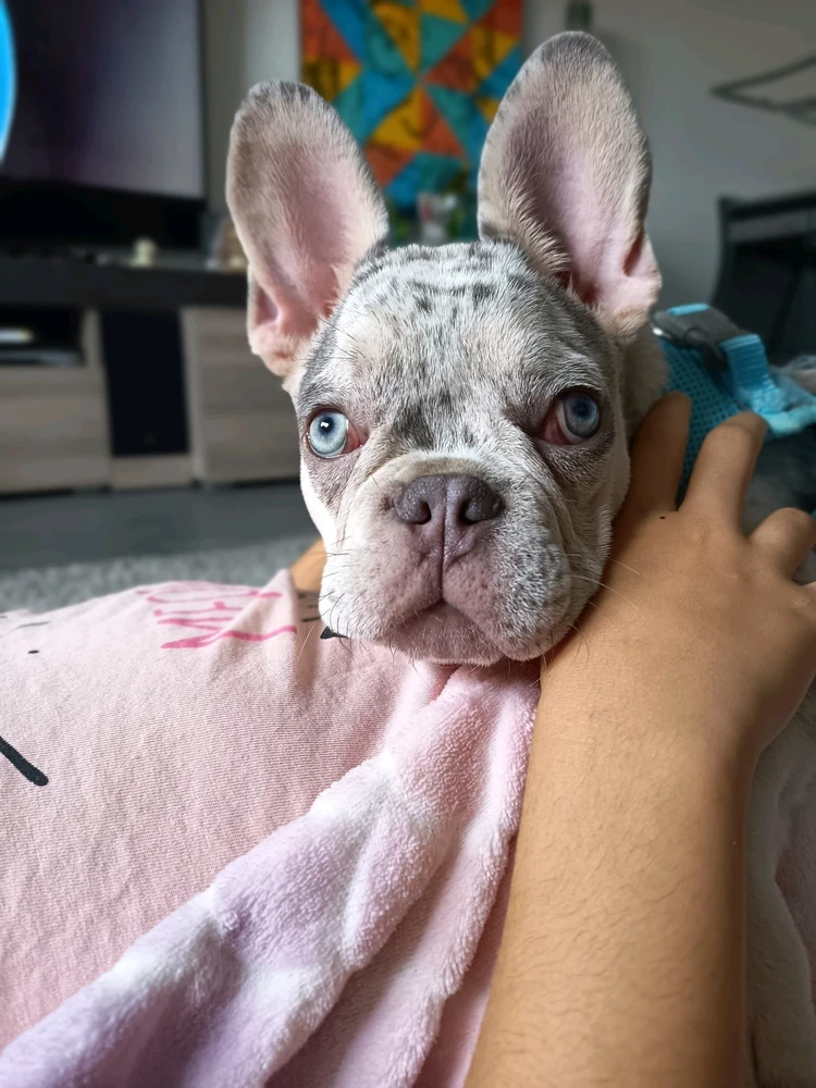 Imagem enviada por Sérgio