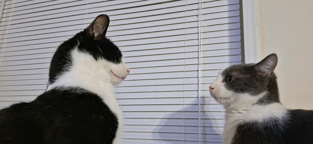 GIF uploaded by Fitri