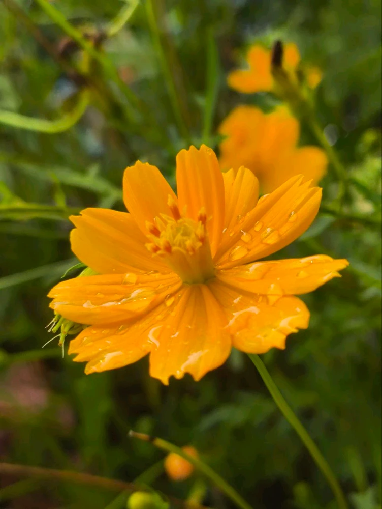 GIF uploaded by Citrus
