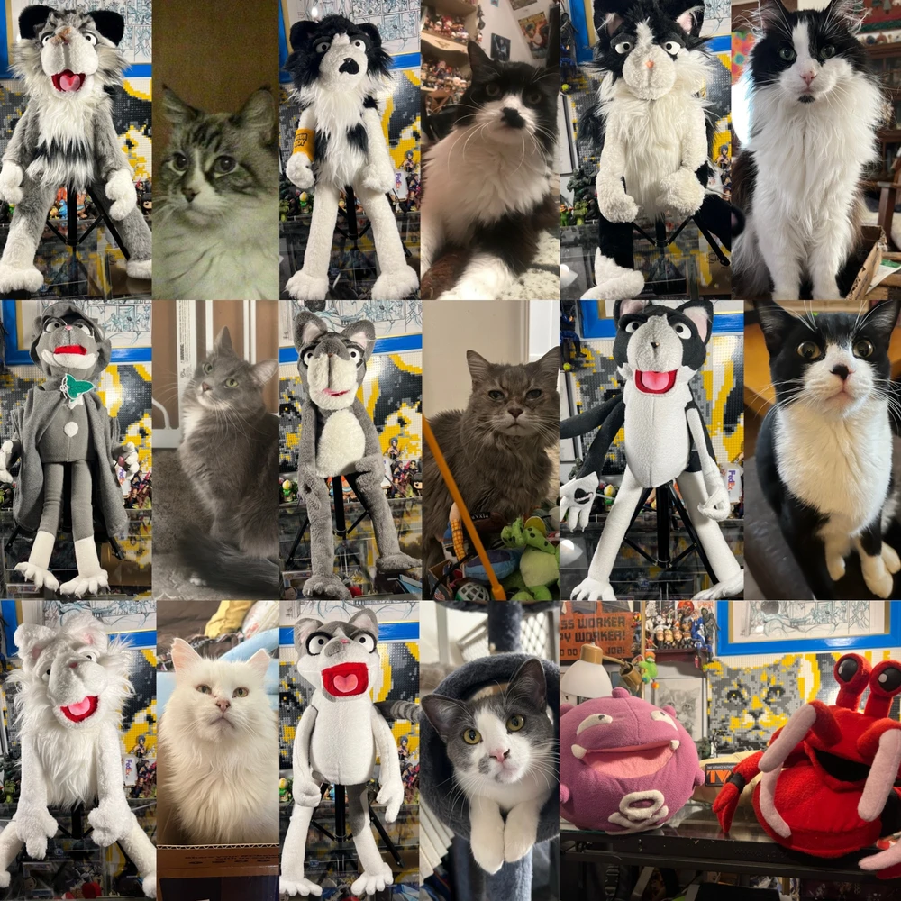 Cat puppets!