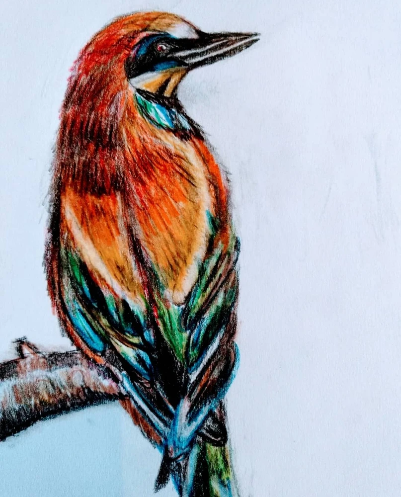 Feeling experimental with colour pencils