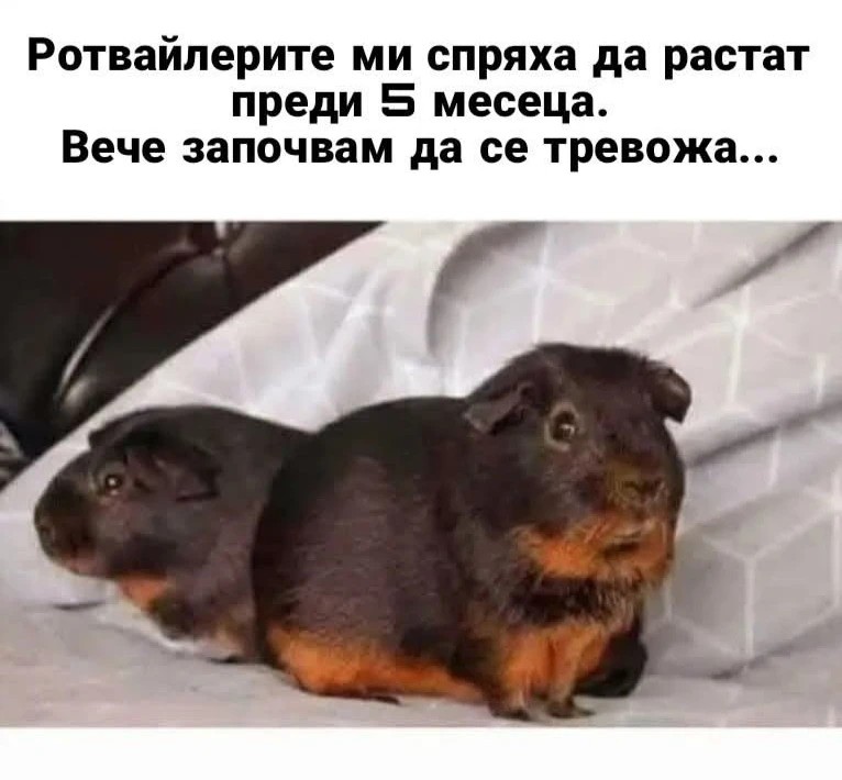 GIF качен от М