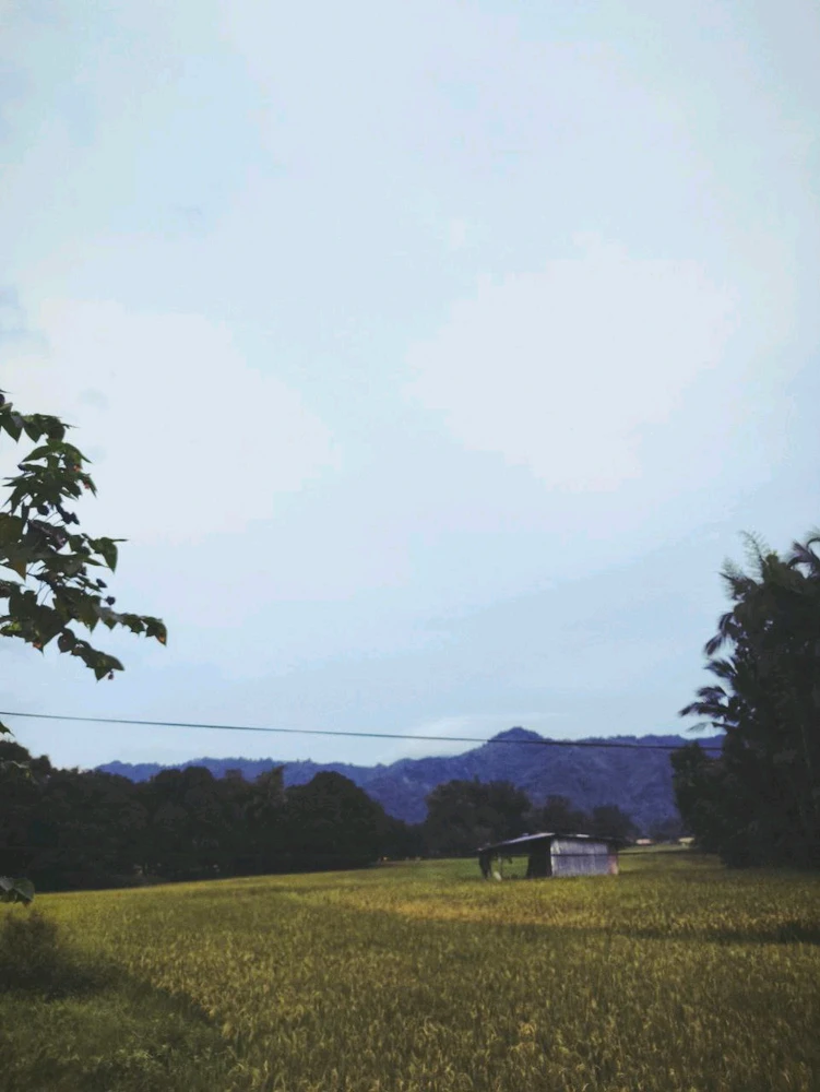 GIF uploaded by Citrus
