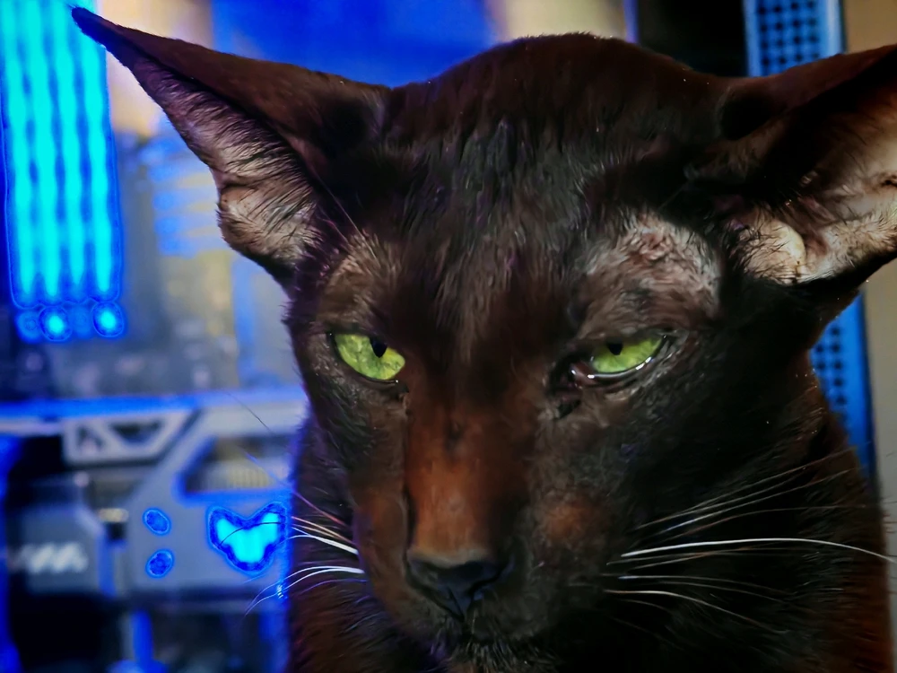 Bild hochgeladen von Gregor