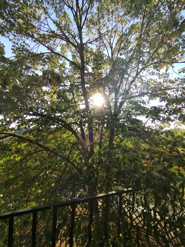 Image uploaded by Milijana