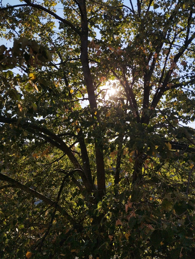 Image uploaded by Milijana